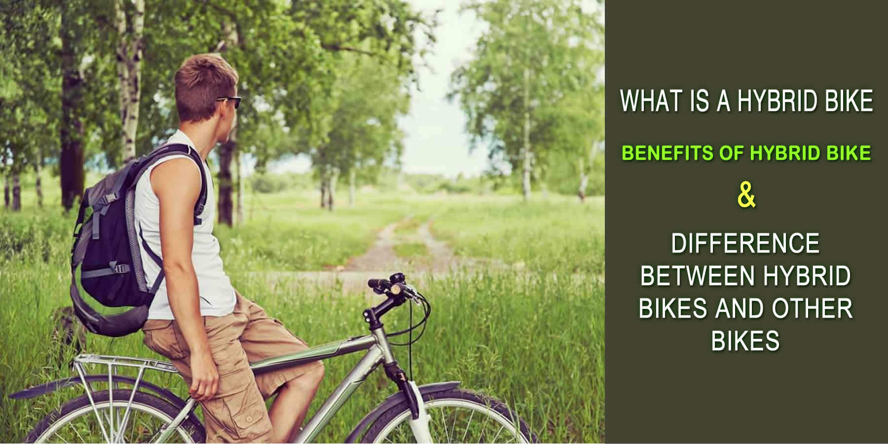 What Is A Hybrid Bike? Benefits Of Hybrid Bike. Difference Between Hybrid Bikes And Other Bikes.